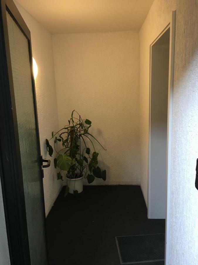Ferienwohnung-Birlenbach المظهر الخارجي الصورة